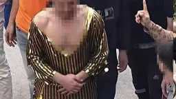 تحقيقات وتقارير