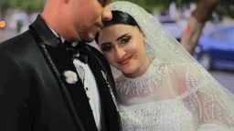 تحقيقات وتقارير