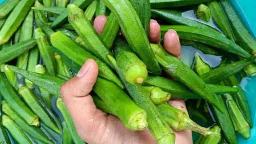 المرأة والصحة