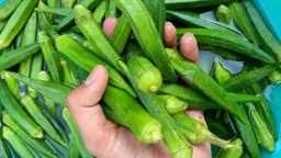 المرأة والصحة