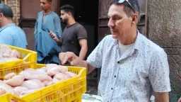 تحقيقات وتقارير