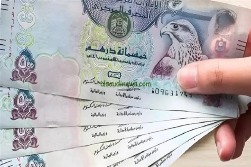 كم سعر الدرهم الإماراتي الآن؟ تعرف على أسعار الشراء والبيع في البنوك