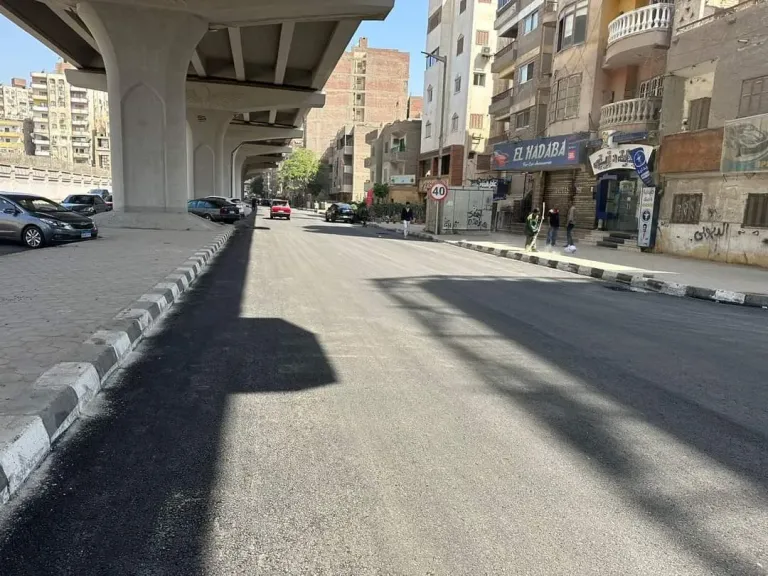 حادث شارع فيصل في مصر.. محاولة إنقاذ طفلة تنتهي بوضع شاب في ورطة