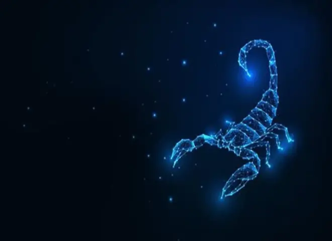 معجزة تتحقق لبرج العقرب.. كيف يبتسم لك القدر في الساعات القادمة؟