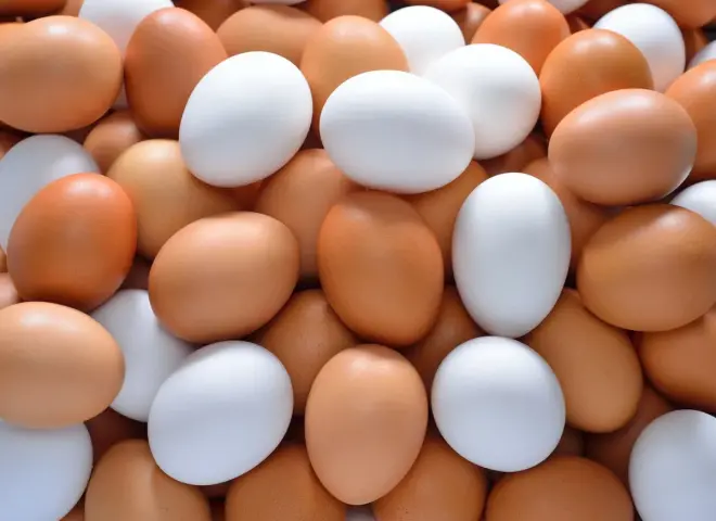 هل ارتفعت من جديد؟.. أسعار البيض اليوم الخميس 12 مارس 2026 في مصر