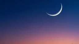 أخبار عربية