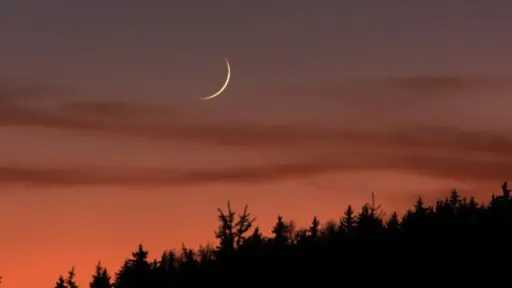 أخبار عربية