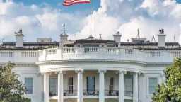 أخبار عالمية