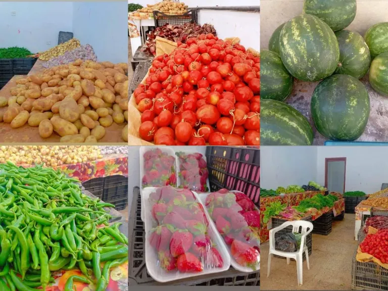 البطاطس والطماطم بكام؟.. أسعار الخضروات والفاكهة اليوم الاثنين 30 مارس 2026 بالأسواق المصرية