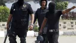 تحقيقات وتقارير