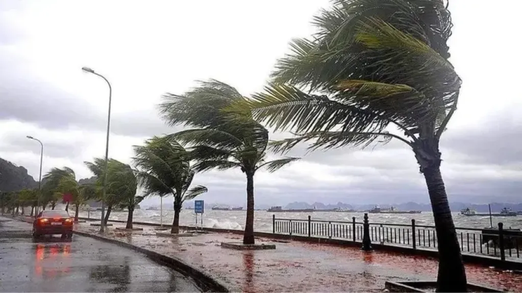 متى تنتهي التقلبات الجوية؟ الأرصاد توضح موعد استقرار الأجواء في محافظات مصر