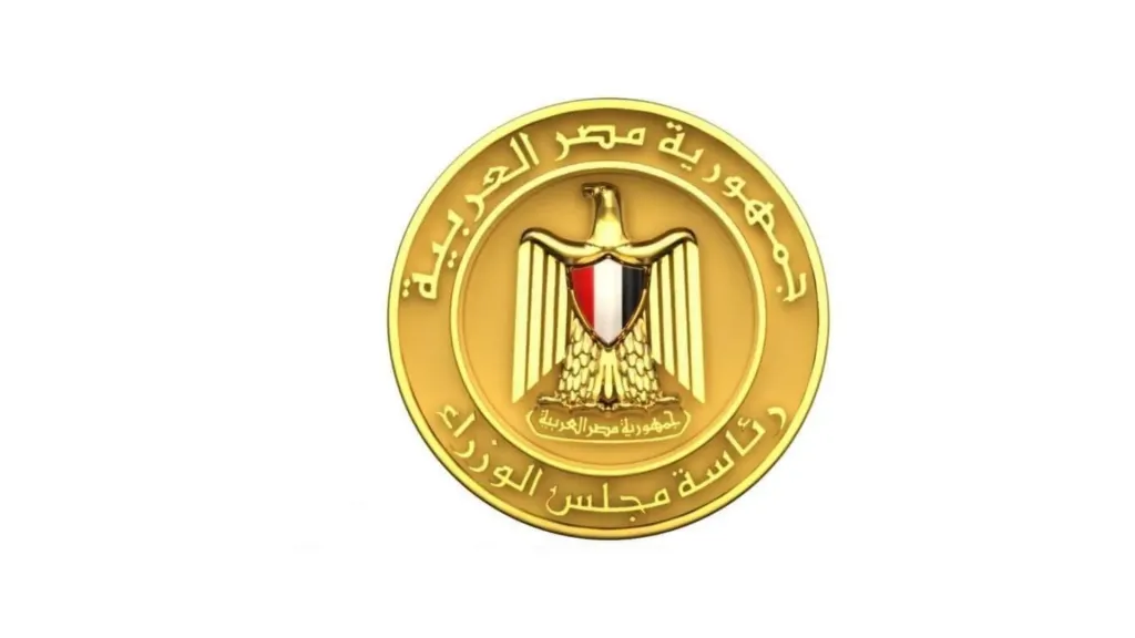 تفاصيل تطبيق العمل عن بُعد في مصر.. الفئات والمواعيد والضوابط