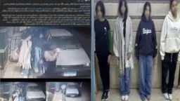 تحقيقات وتقارير