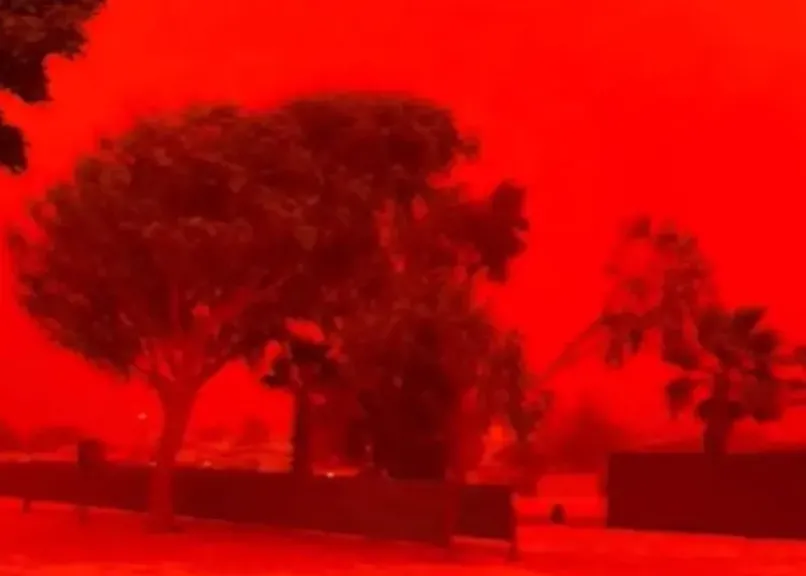 حقيقة وصول العاصفة الدموية إلى مصر.. بيان رسمي من الأرصاد الجوية يحسم الجدل