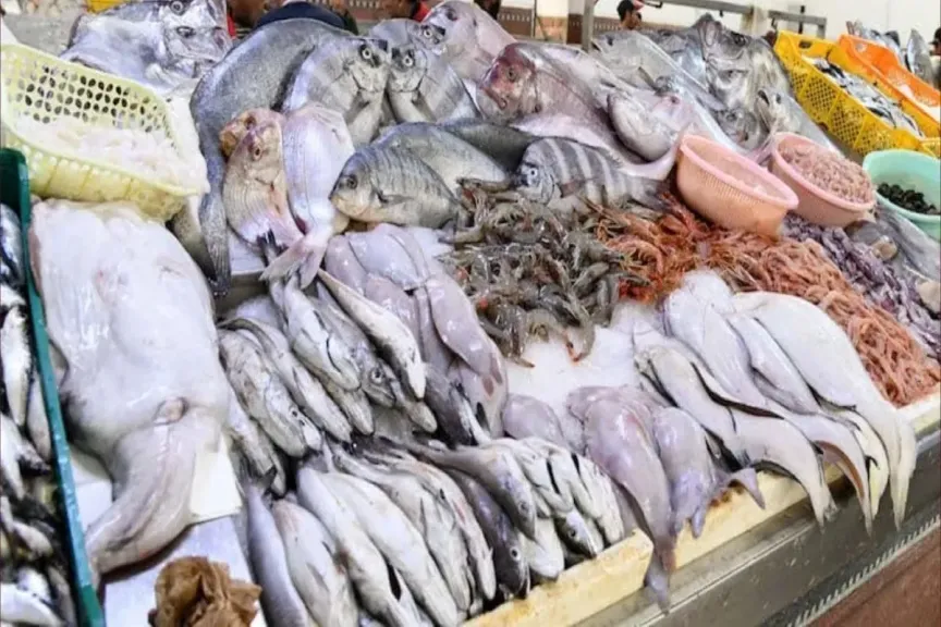 الجمبري بكام؟.. أسعار السمك اليوم الأحد 5 أبريل 2026 في مصر