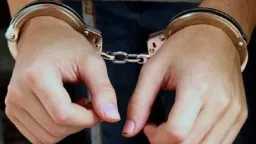 تحقيقات وتقارير