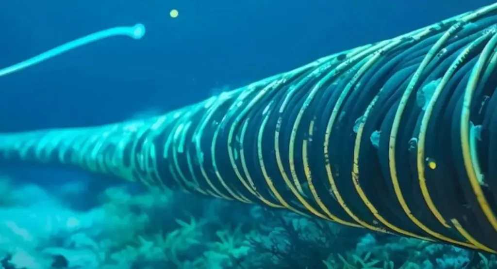 أخبار عالمية