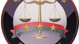 تحقيقات وتقارير