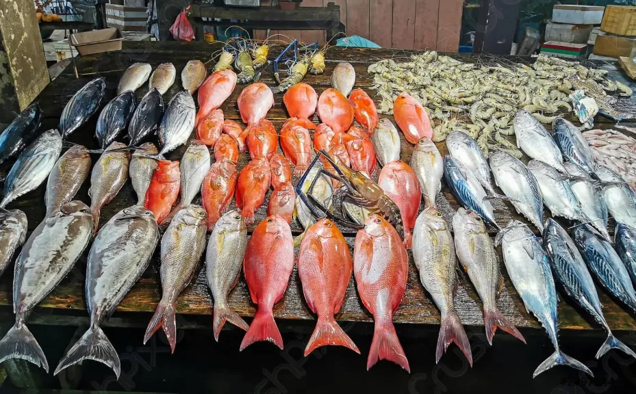 السبيط والكابوريا بكام؟.. أسعار السمك اليوم الخميس 9 أبريل 2026 في المحلات المصرية