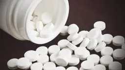 تحقيقات وتقارير