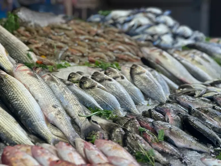 الجمبري بكام؟.. أسعار السمك اليوم السبت 11 أبريل 2026 في الأسواق المصرية