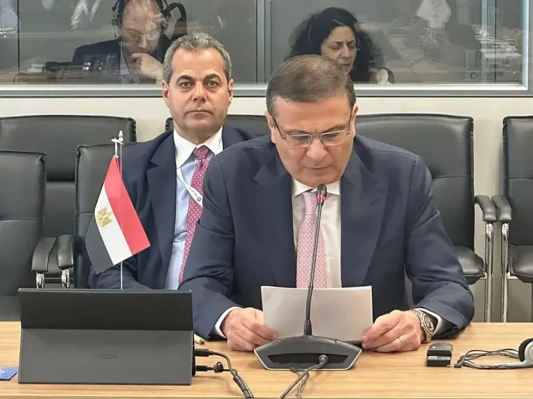 قرار جديد من وزير الزراعة المصري: 2500 جنيه سعر توريد القمح للإردب