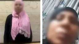 تحقيقات وتقارير