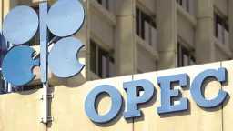 أخبار عالمية