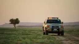 أخبار عربية