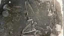 أخبار عالمية