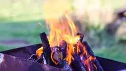 أخبار عربية