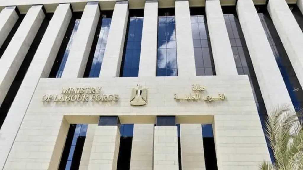 التقديم متاح الآن.. 6732 وظيفة جديدة في 9 محافظات مصرية لجميع المؤهلات