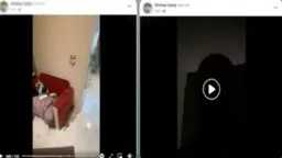 تحقيقات وتقارير