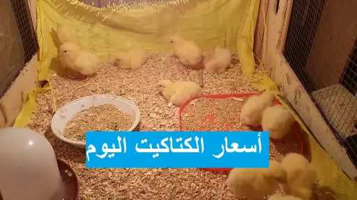 الاقتصاد