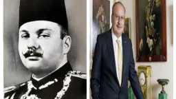 تحقيقات وتقارير