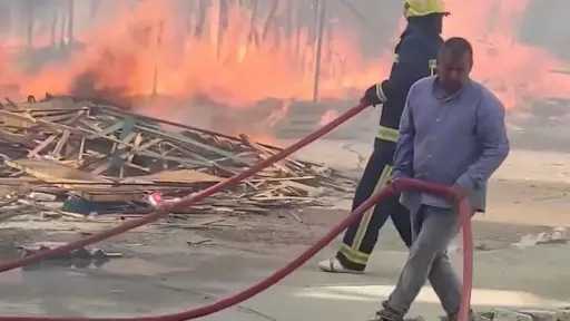 فن وثقافة