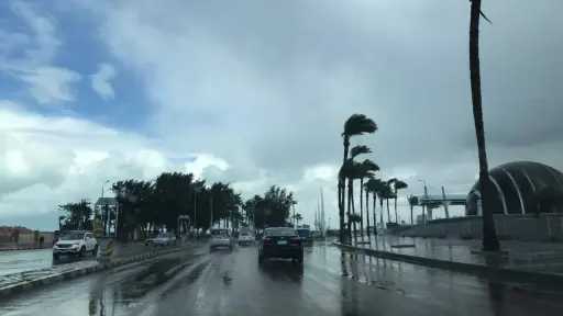 الأخبار