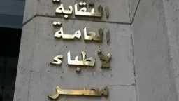 تحقيقات وتقارير