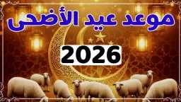 الأخبار