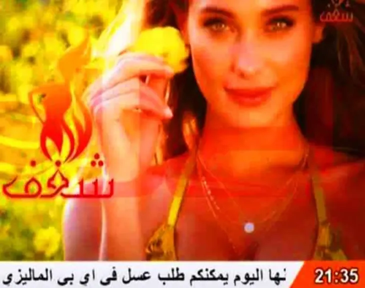 استقبل الآن تردد قناة شغف 2026 على النايل سات بخطوات سهلة