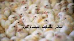 الاقتصاد