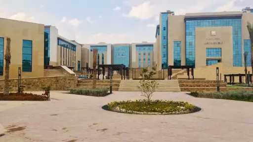 الأخبار