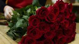 منوعات