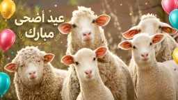 الأخبار