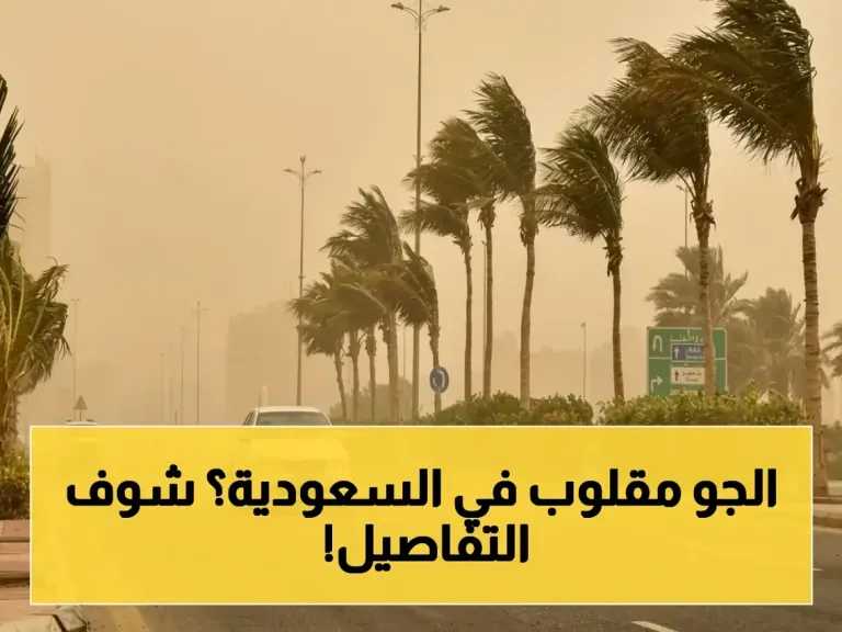 حالة الطقس اليوم بالسعودية الأربعاء 20 مايو.. تحذير من رياح مثيرة للأتربة تضرب هذه المناطق