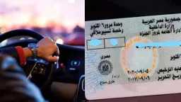 الأخبار