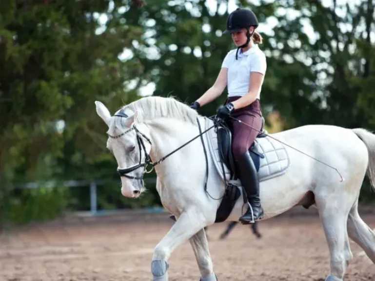 تفسير حلم ركوب الخيل مع شخص مجهول في المنام ودلالات القوة والنجاح
