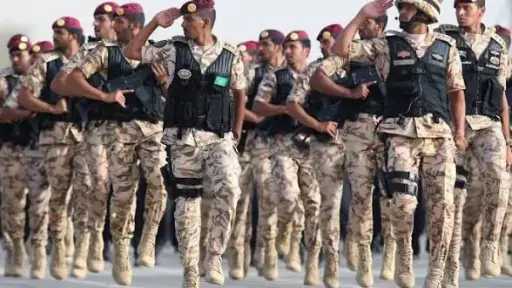 الأخبار