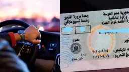 الأخبار