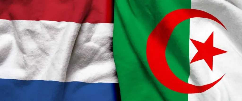 رابط يلا شوت..بث مباشر مشاهدة مباراة الجزائر وهولندا الأسطورة اليوم ودياً استعداداً لكأس العالم 2026 بدون تشويش وبجودة عالية HD